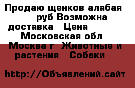 Продаю щенков алабая 5 000руб.Возможна доставка › Цена ­ 5 000 - Московская обл., Москва г. Животные и растения » Собаки   